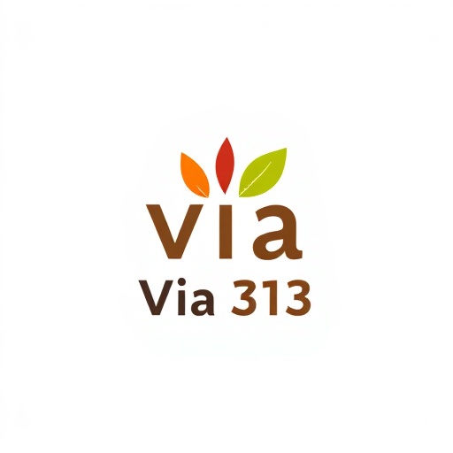 Via 313 Logo